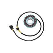 Stator dâallumage Electrosport Suzuki GS 500 F 04-07