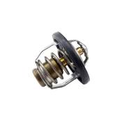 Thermostat Tour Max Honda CB 600 F Hornet 07-13