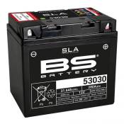 Batterie BS Battery 53030 SLA 12V 30Ah activÃ©e usine