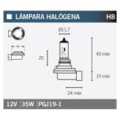 Ampoule Vicma H8 PGJ19-1 Halogène 12V 35W