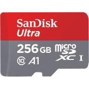Sandisk ultra 256 Go Micro SD carte mémoire micro SDXC Class 10 UHS-I 120Mb/s