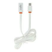 Cable plat USB vers Lightning 1m