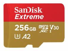 SanDisk Extreme - Carte mémoire flash - 256 Go - A2 / Video Class V30 / UHS-I U3 / Class10 - microSDXC UHS-I