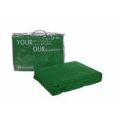 Fond Tissu Vert 2,5 x 3 m + sac de transport