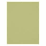 Toile de fond infroissable X-Drop - Light Moss Green (5' x 7')