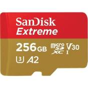 Carte Mémoire Micro SD SanDisk Extreme SDSQXA1-256G-GN6MN 256Go MicroSDXC 160Mo/s Rough Or