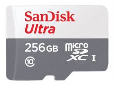 SanDisk Ultra - Carte mémoire flash (adaptateur microSDXC vers SD inclus(e)) - 256 Go - Class 10 - microSDXC UHS-I