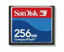 Sandisk Carte mémoire Compact Flash 256 Mo 47260