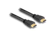 Delock câble High Speed HDMI Ethernet type-A vers type-A 10m