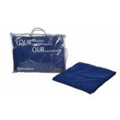 Fond Tissu Bleu 2,5 x 3 m + sac de transport