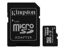 Kingston - Carte mémoire flash (adaptateur microSDHC - SD inclus(e)) - 16 Go - UHS Class 1 / Class10 - microSDHC UHS-I