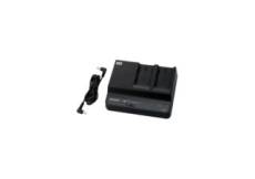 Sony Double chargeur BC-U2A Noir pour batteries Lithium-ion
