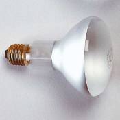 Lampe Photoflood, 150 W, 230 V, E27, 3200 K, avec rÃ©flecteur - KAI3128