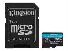 Kingston - Carte mémoire flash (adaptateur microSDXC vers SD inclus(e)) - 256 Go - A2 / Video Class V30 / UHS-I U3 / Class10 - microSDXC UHS-I