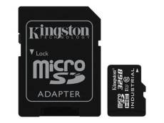 Kingston - Carte mémoire flash (adaptateur microSDHC - SD inclus(e)) - 32 Go - UHS Class 1 / Class10 - microSDHC UHS-I