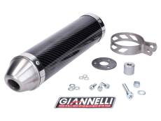 Silencieux Giannelli Street Carbone Aprilia RS4 50 2011 - 2015