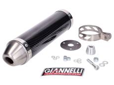 Silencieux Giannelli Street Carbone Yamaha TZR 50 2004 - 2015