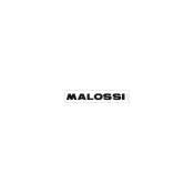 Autocollant Malossi classique- Blanc32 cm