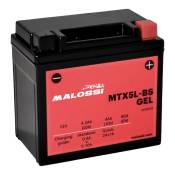Batterie gel Malossi MTX14-BS