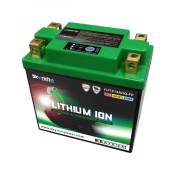 Batterie Skyrich Lithium Ion LTX14L-BS sans entretien