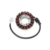 Stator dâallumage Electrosport Yamaha YZF-R1 98-01