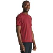 Specialized Sbc Short Sleeve T-shirt Rouge M Homme