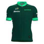 Santini Tour De France Fan Line Best Sprinter 2023 Short Sleeve Jersey Vert XL Homme