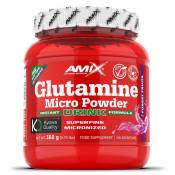 Amix Glutamine Micro Powder 360g Amino-acids Wild Berries Rouge