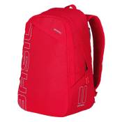 Basil Flex 17l Backpack Rouge