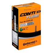 Continental Tour Standard 40 Mm Inner Tube 50 Units Noir 28´´ / 1.25-1.75