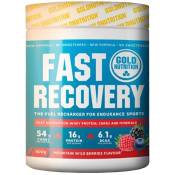 Gold Nutrition Fast Recovery 600g Wild Fruits Blanc