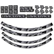 Race Face Turbine R Arc Offset 30 Sticker Gris
