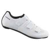 Shimano Rc100 Road Shoes Blanc EU 48 Homme