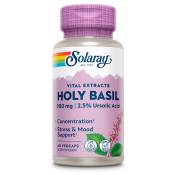 Solaray Holly Basil 450mgr 60 Units Blanc,Violet