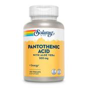 Solaray Pantothenic Acid 500mgr 100 Units Blanc