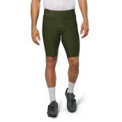 Pearl Izumi Expedition Shorts Vert 3XL Homme