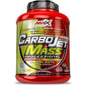 Amix Carbojet Mass Professional 3kg Carbohydrate & Protein Wild Berries Rouge