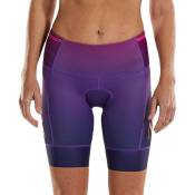 Zoot Ltd Tri 8 Inchplus Shorts Violet 2XL Femme
