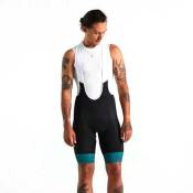 Specialized Outlet Rbx Comp Logo Bib Shorts Noir 2XL Homme