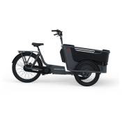 Winora Fub 3w 20/26´´ Nexus 2022 Electric Bike Argenté 52 / 500Wh