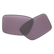 Oakley Heliostat Prizm Replacement Lenses Violet Prizm Grey/CAT3