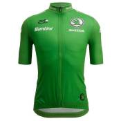 Santini Replica Tour De France Best Sprinter 2022 Short Sleeve Jersey Vert M Homme