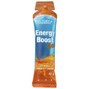 Victory Endurance Boost Energy Gel 42g Orange Bleu