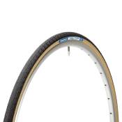 Panaracer Pasela Protite 26´´ X 1.75 Rigid Urban Tyre Doré 26´´ x 1.75