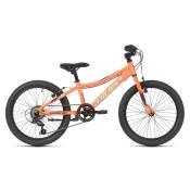 Coluer Magic Ss 20´´ Bike Orange Garçon