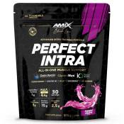 Amix Perfect Intra 870gr Carbohydrate Wild Berries Rose