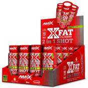 Amix X-fat 2-in-1 60ml Fat Burner 20 Units Rouge