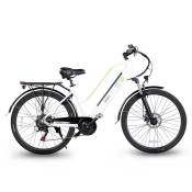 Emg Queen 26´´ Shimano Electric Bike Argenté One Size / 360Wh