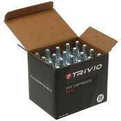 Trivio Co2 Cartridges Box 20 Units Argenté 25 g