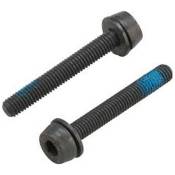 Campagnolo Screws For Rear Mounting 34 Mm Noir 25-29 mm